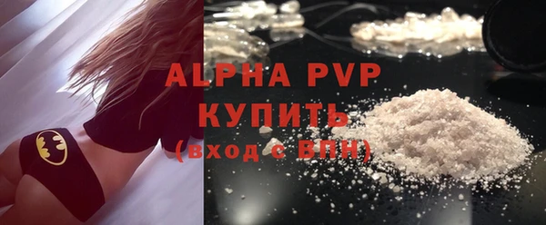 дмт Богданович