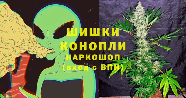 не бодяженный Белокуриха