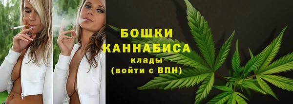 не бодяженный Белокуриха
