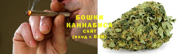 сатива Семилуки