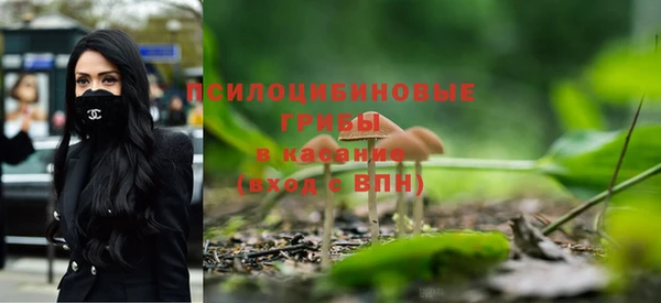 не бодяженный Белокуриха