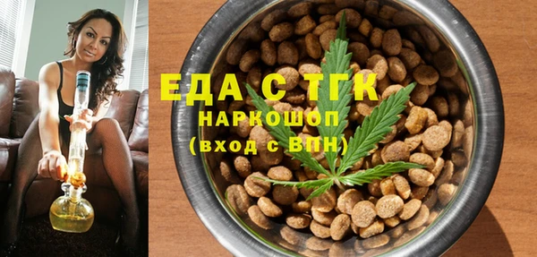 дмт Богданович