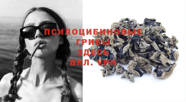 не бодяженный Белокуриха